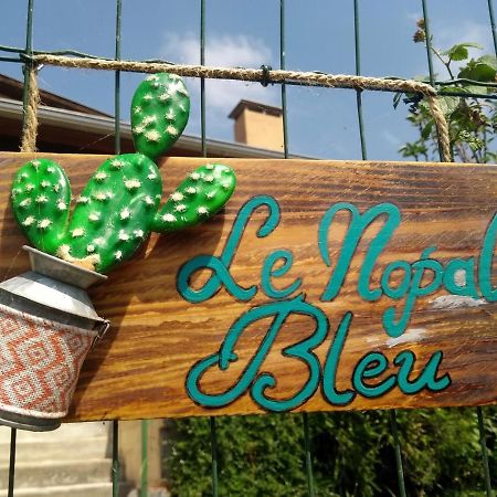 Appartamento Le Nopal Bleu Tarascon-sur-Ariège Esterno foto