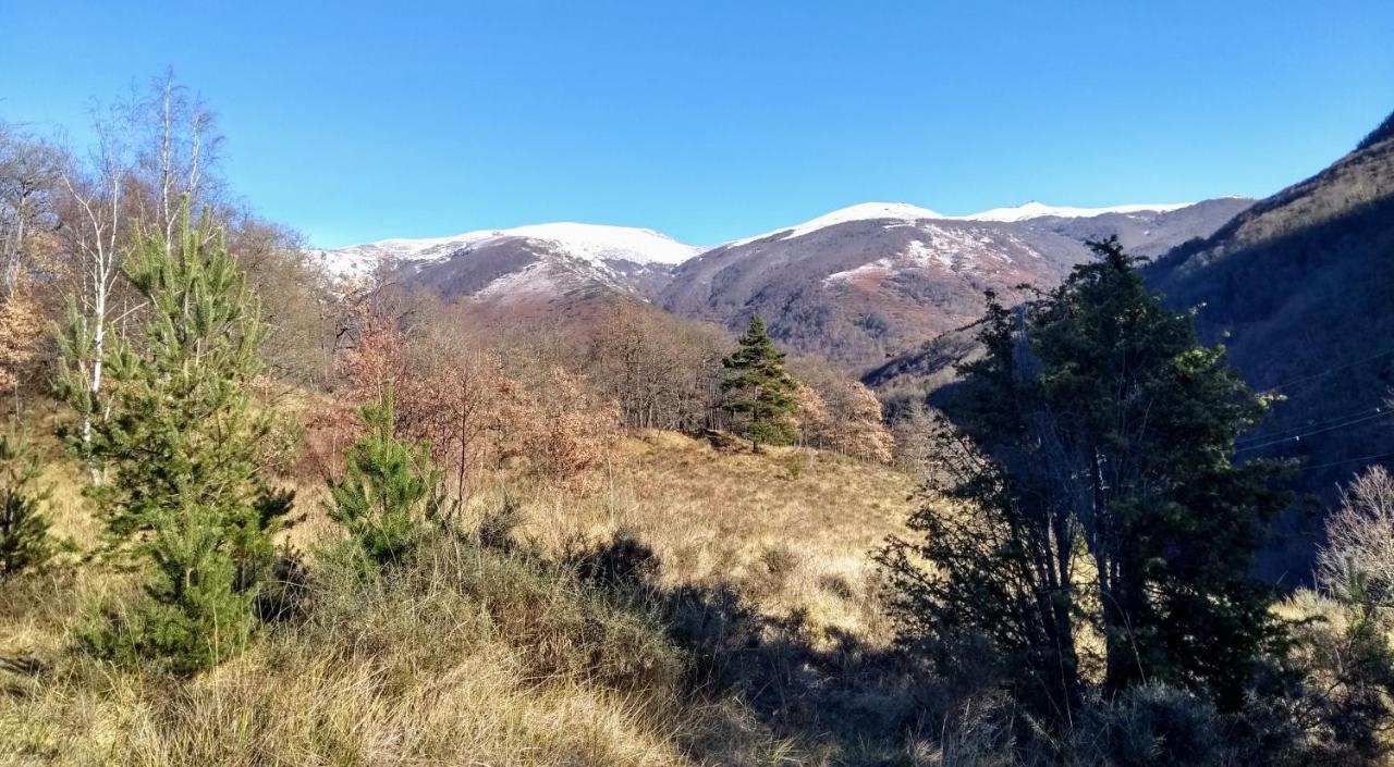 Appartamento Le Nopal Bleu Tarascon-sur-Ariège Esterno foto
