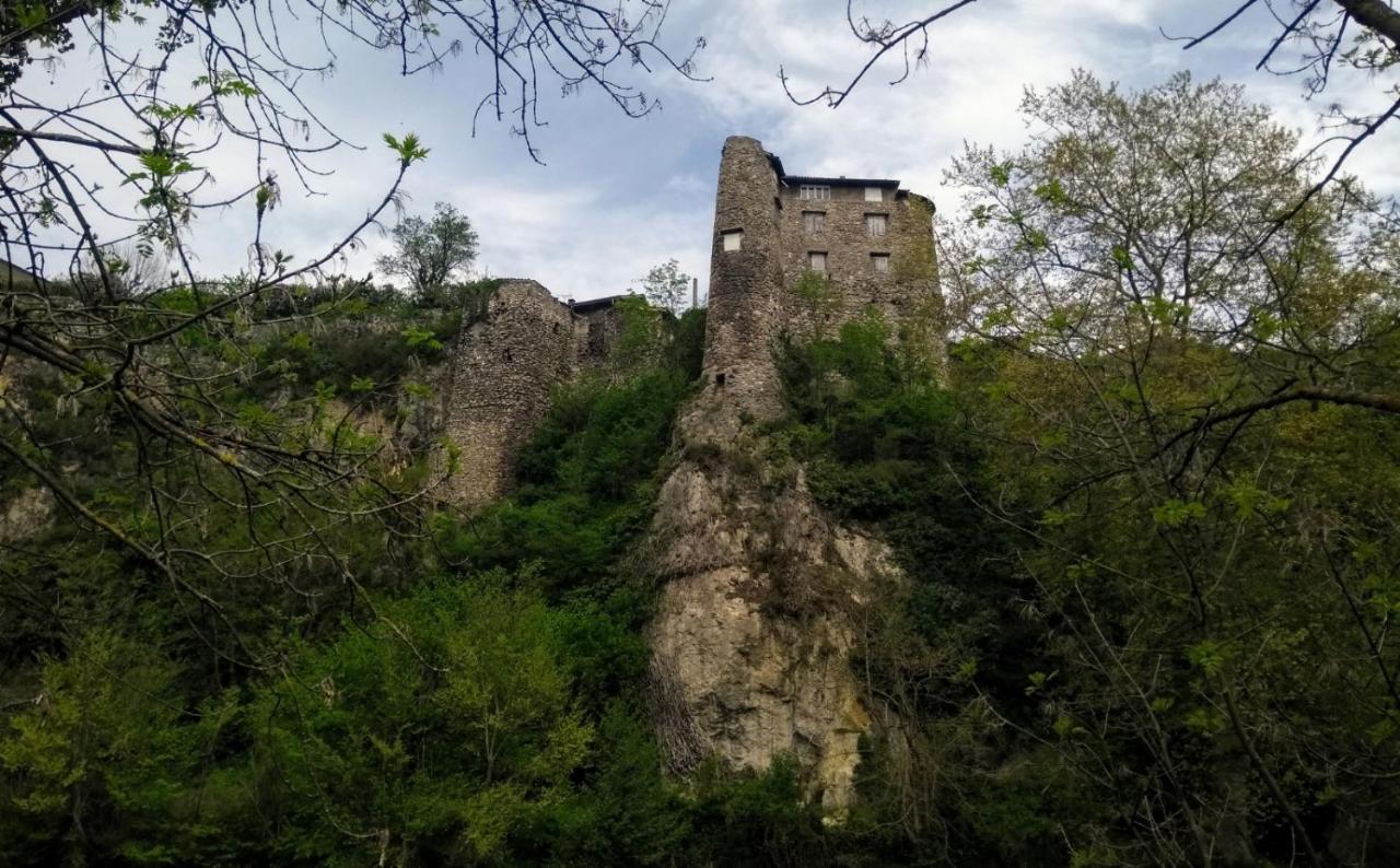 Appartamento Le Nopal Bleu Tarascon-sur-Ariège Esterno foto