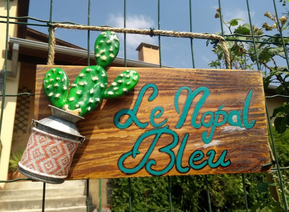 Appartamento Le Nopal Bleu Tarascon-sur-Ariège Esterno foto