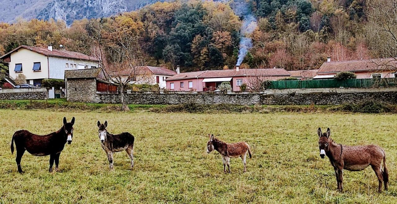 Appartamento Le Nopal Bleu Tarascon-sur-Ariège Esterno foto
