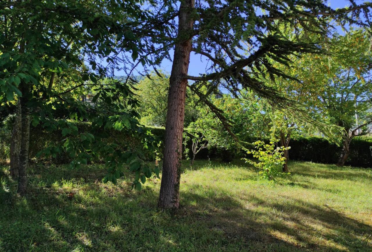 Appartamento Le Nopal Bleu Tarascon-sur-Ariège Esterno foto