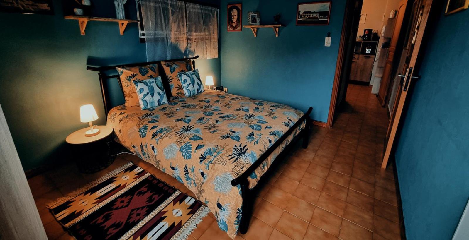 Appartamento Le Nopal Bleu Tarascon-sur-Ariège Esterno foto
